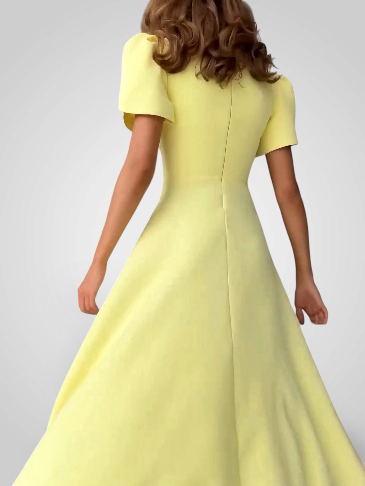 Elegant Midi Dress with High Neck and Bud Sleeves